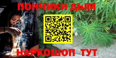 индика Тула