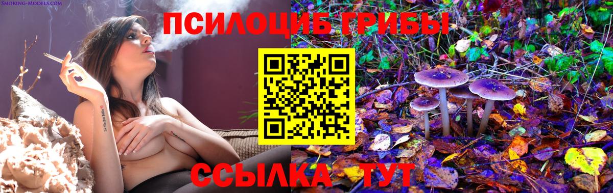 Псилоцибиновые грибы мухоморы Кореновск