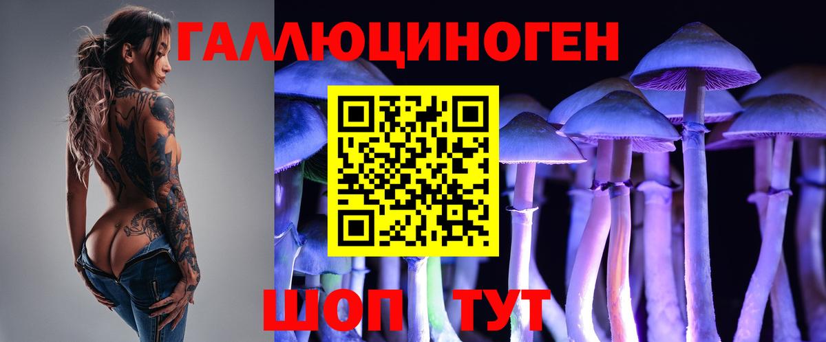 Псилоцибиновые грибы мицелий  Вход с VPN  Кореновск  Псилоцибиновые грибы прущие грибы 